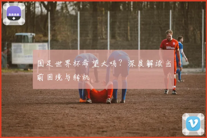 国足世界杯希望大吗?深度解读当前困境与转机
