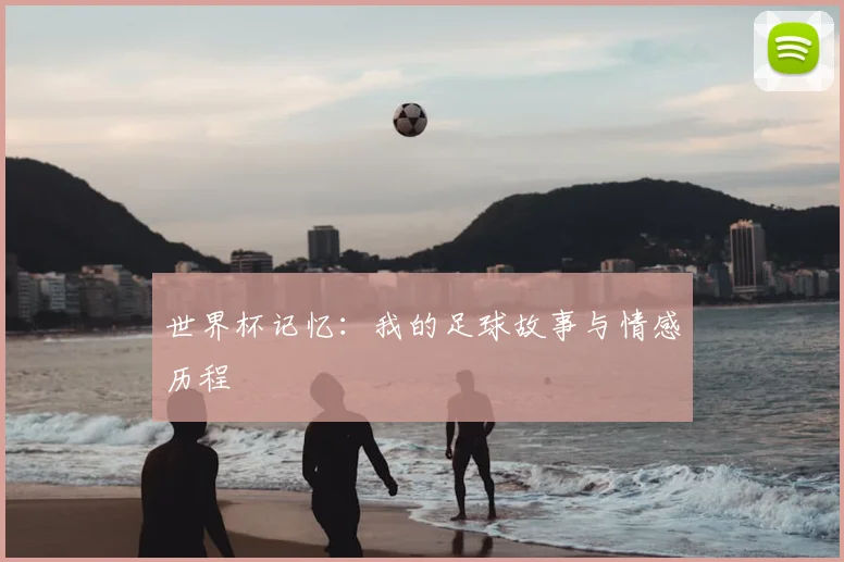 世界杯记忆：我的足球故事与情感历程