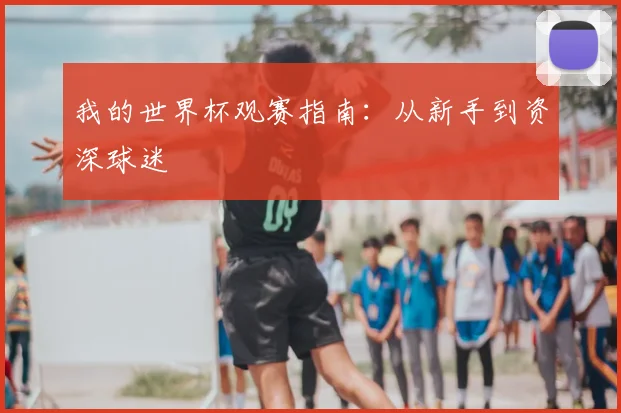 我的世界杯观赛指南：从新手到资深球迷